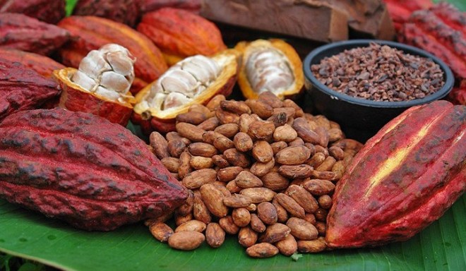 cacao-bean-pod-nibs-2-e1560122455158.jpg