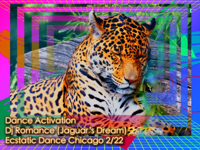 Jaguar Dream ED 200222