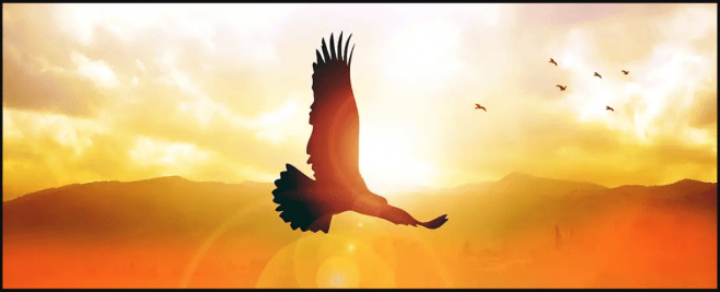 Screen Shot 2020-04-18 at 12.32.35 PM